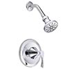 Danze pressure balance shower