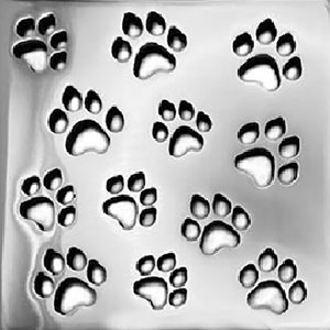 Dog paws pattern square Ebbe drain cover