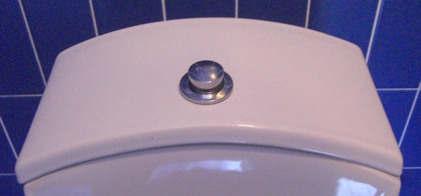 Rangi Roa toilet tank lid cover top