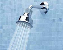 Multi-spray shower head