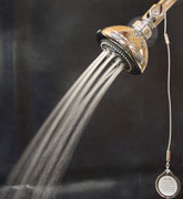 image of a hot water saving showerhead with shower start - champagne