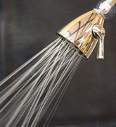 luxurious 8 jet all brass deluxe showerhead - full body