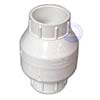 Spring check valve